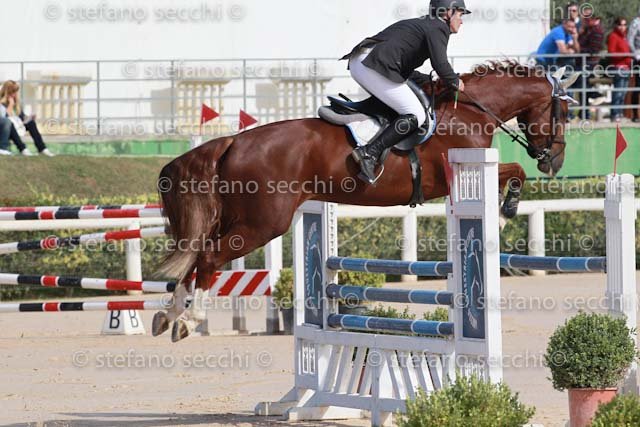 DI GIAMBERARDINO_KEMBOL_GIO CAV 2011_SS3_0576.jpg